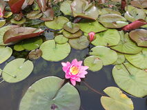 Galerie photo 